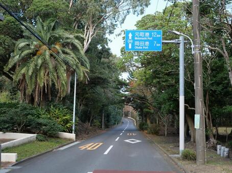 大島公園前　大島一周道路 大島公園,伊豆大島,伊豆諸島の写真素材