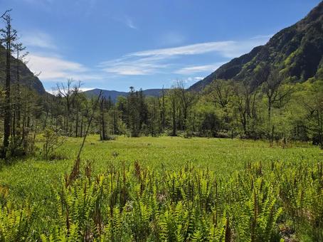 上高地 長野,上高地,きれいの写真素材