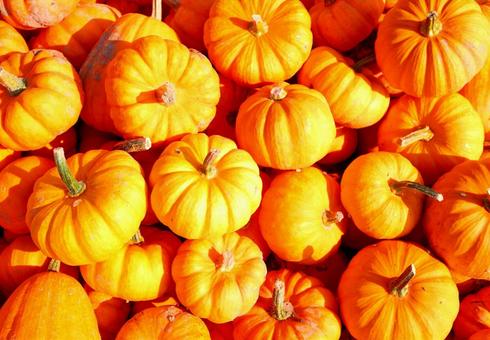 Pumpkin, JPG