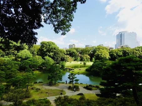 特別名勝六義園3 特別名勝六義園3 六義園,庭園,大名庭園の写真素材