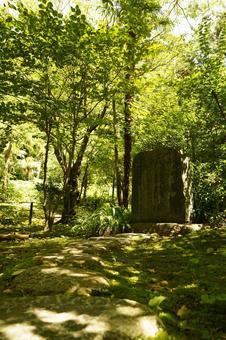 北鎌倉、浄智寺の石碑(その２) 石碑,踏み石,清涼の写真素材