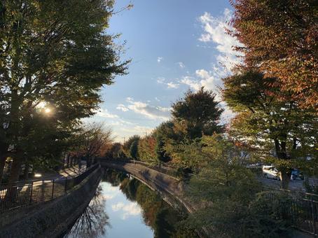 紅葉を映す川面 紅葉を映す川面 川,紅葉,秋の写真素材