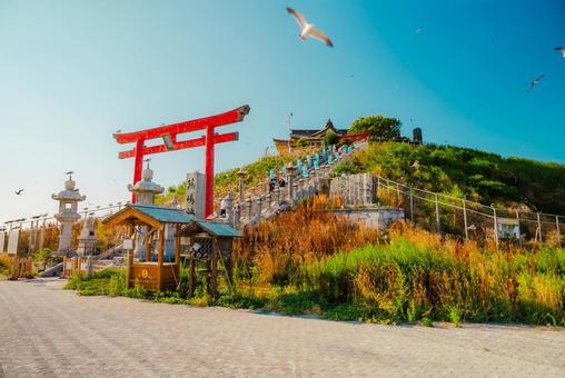 【青森】本八戸の蕪嶋神社 2025 青森,本八戸,八戸の写真素材