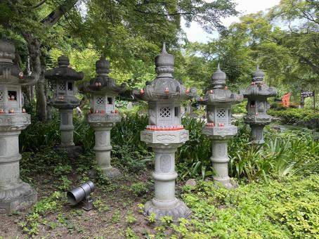 勝尾寺 勝尾寺 勝尾寺,だるま,寺院の写真素材