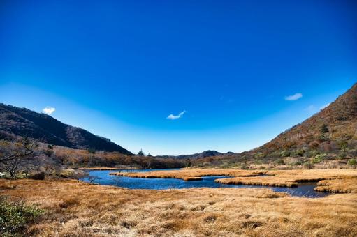 秋の覚満渕 風景,青空,晴れの写真素材