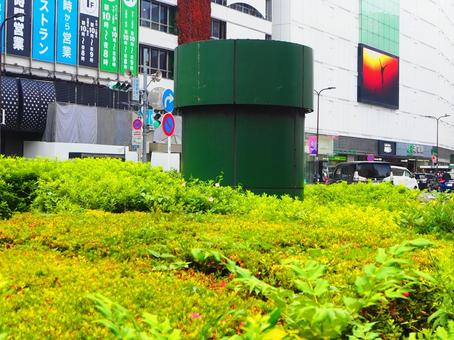 都会のマリオ土管 都会のマリオ土管の写真