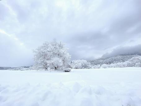 照片, 冬季, 風景, 雪山, 