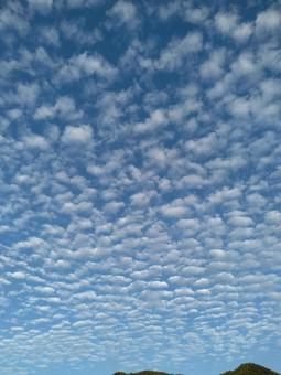ひつじ雲 ひつじ雲の写真
