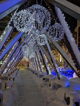 北海道函館のイルミネーション 北海道函館のイルミネーション 北海道,函館,イルミネーションの写真素材
