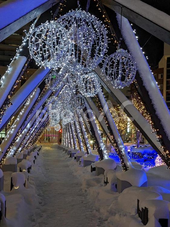 北海道函館のイルミネーション 北海道,函館,イルミネーションの写真素材