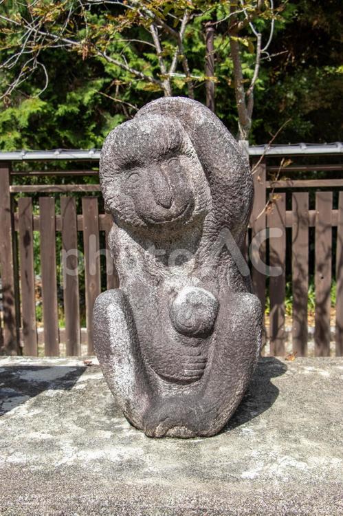 干支の庭 申 沙沙貴神社,干支の庭,申の写真素材