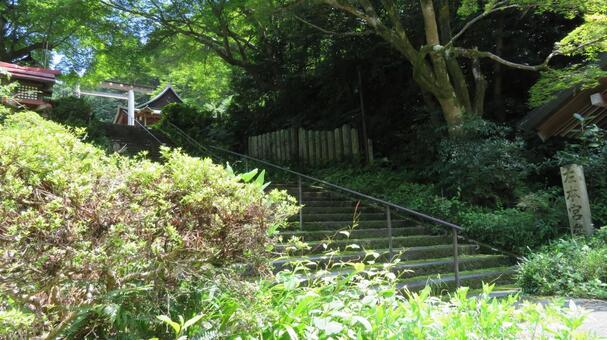 日向大神宮　境内の風景　本宮への参道 日向大神宮,神社,神社仏閣の写真素材