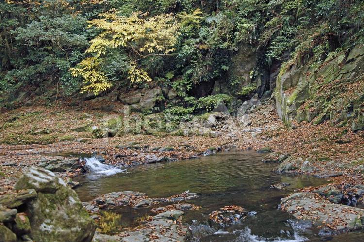 山間を流れる小さな上流の川 植物,屋外,赤の写真素材