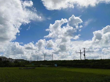 夏の田園風景 夏の田園風景 夏,雲,空の写真素材
