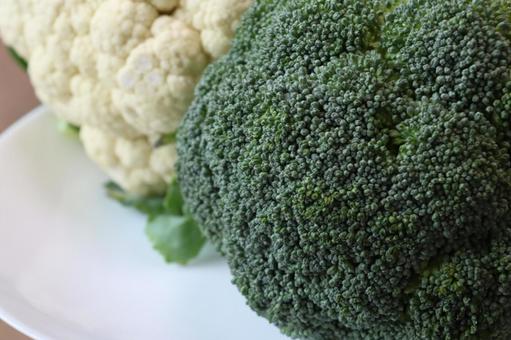 ブロッコリーとカリフラワー ブロッコリーとカリフラワー ブロッコリー,カリフラワー,アップの写真素材