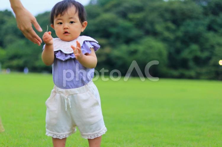 芝生で遊ぶ子供 子供,女の子,人物の写真素材
