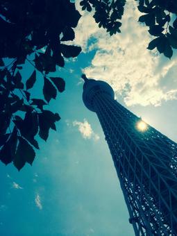 スカイツリーを見上げての写真