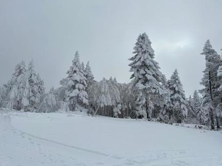 雪山 雪山の写真