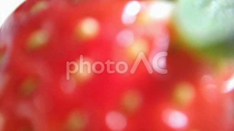 イチゴ（とちおとめ）16 イチゴ,いちご,苺の写真素材