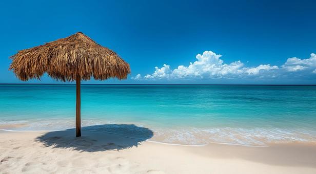 青バカンスカラー 青バカンスカラーの写真