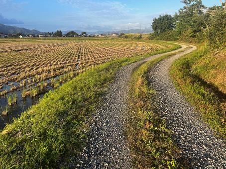 稲刈りを終えた田んぼ道 稲刈りを終えた田んぼ道の写真