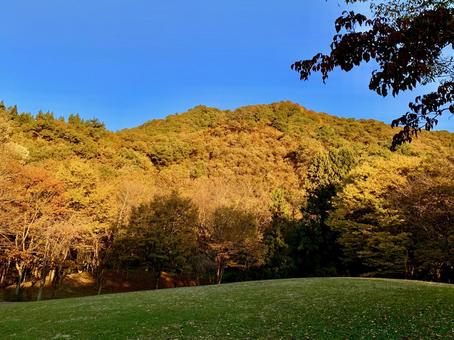 紅葉 山,紅葉,秋の写真素材