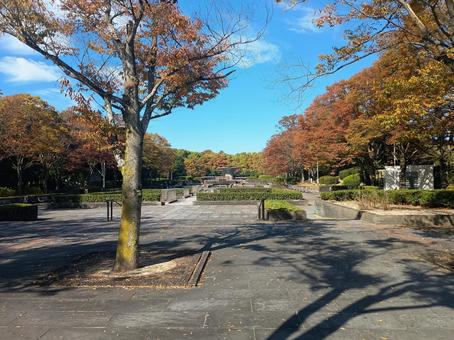 春日公園　春日市　福岡 春日公園,春日市,福岡の写真素材