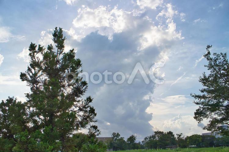 雲と空と木 空,そら,スカイの写真素材