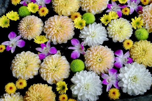 たくさんの花 たくさんの花 花,カラフル,テクスチャの写真素材