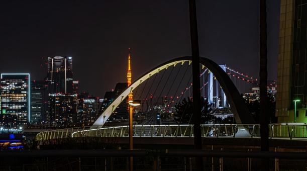 潮風橋から見た夜景 潮風橋から見た夜景 潮風橋,.潮風公園,公園の写真素材