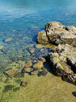 海岸 磯 干潮 海岸 磯 干潮の写真