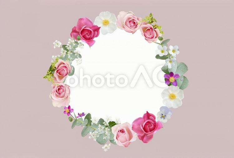 エレガントで可愛い花リースの枠 05 花,枠,花環の写真素材