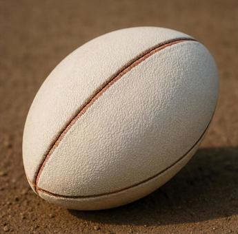 ラグビーボールの写真