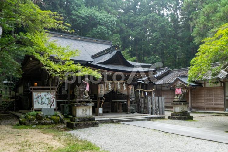 奈良　等彌神社　上津尾社 等彌神社,等彌,とみじんじゃの写真素材