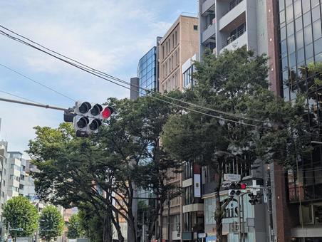 Meiji Dori between Shibuya and Harajuku, JPG