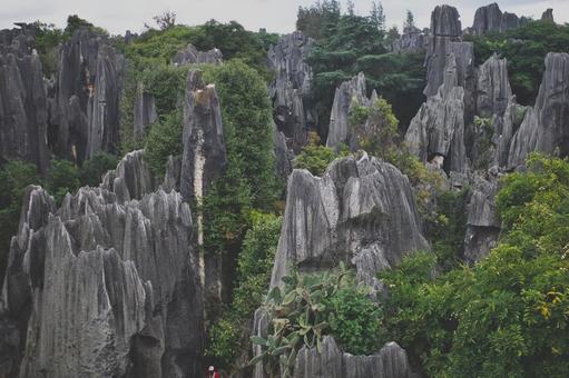 昆明市石林风景区 昆明市石林风景区の写真