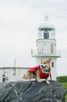 Corgi Cape Erimo Lighthouse, JPG