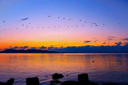 瀬戸内海元旦の夜明け マジックアワー,瀬戸内海,朝焼けの写真素材