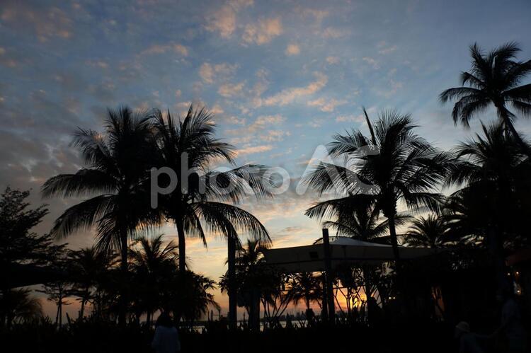 シンガポール、シロソビーチの夕暮れ シンガポール,シロソビーチ,ビーチの写真素材