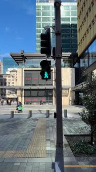 NZ_AUCKLAND NZ_AUCKLAND オークランド,信号,ニュージーランドの写真素材