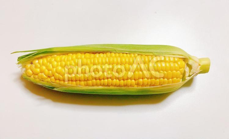 とうもろこし　穀物　夏野菜　イメージ　素材５ とうもろこし,トウモロコシ,コーンの写真素材