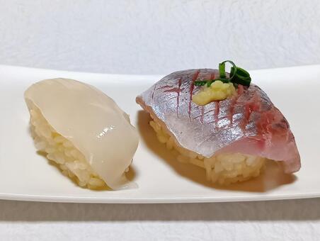 真あじ・イカ　握り寿司　赤酢シャリ 真あじ,イカ,握り寿司の写真素材
