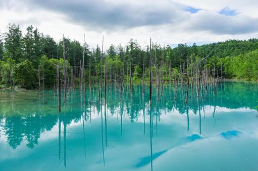 美瑛 青い池 美瑛 青い池 美瑛,青い池,リフレクションの写真素材