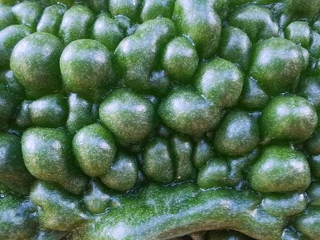 テクスチャ_ゴーヤ表面 テクスチャ_ゴーヤ表面 夏野菜,野菜,ゴーヤの写真素材