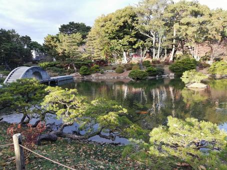 秋の庭園　池のある風景 縮景園,広島縮景園,池の写真素材