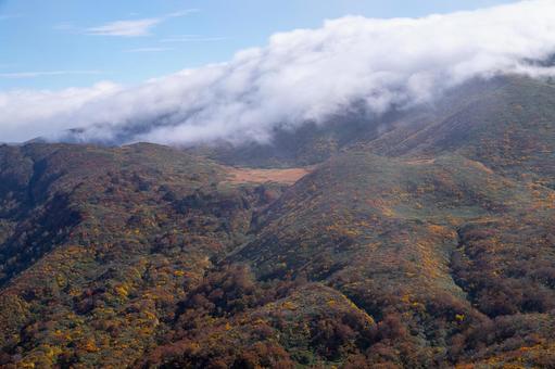 栗駒山 紅葉の山肌と湿原 秋,紅葉,黄葉の写真素材