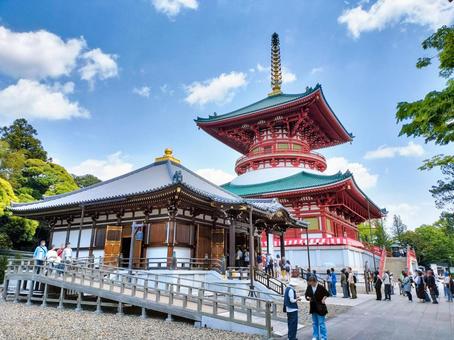 成田山新勝寺 醫王殿と平和の大塔 成田山新勝寺 醫王殿と平和の大塔の写真