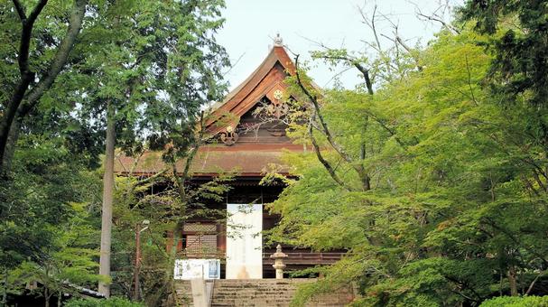 初秋の長等山園城寺(三井寺)金堂 初秋の長等山園城寺(三井寺)金堂 三井寺,金堂,国宝の写真素材