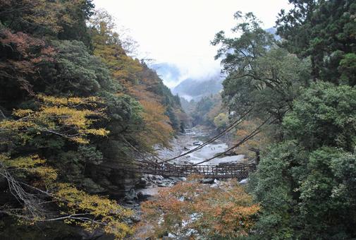 橋のある渓谷 橋のある渓谷の写真