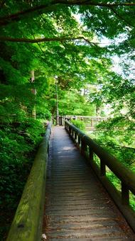 不思議な入口の写真